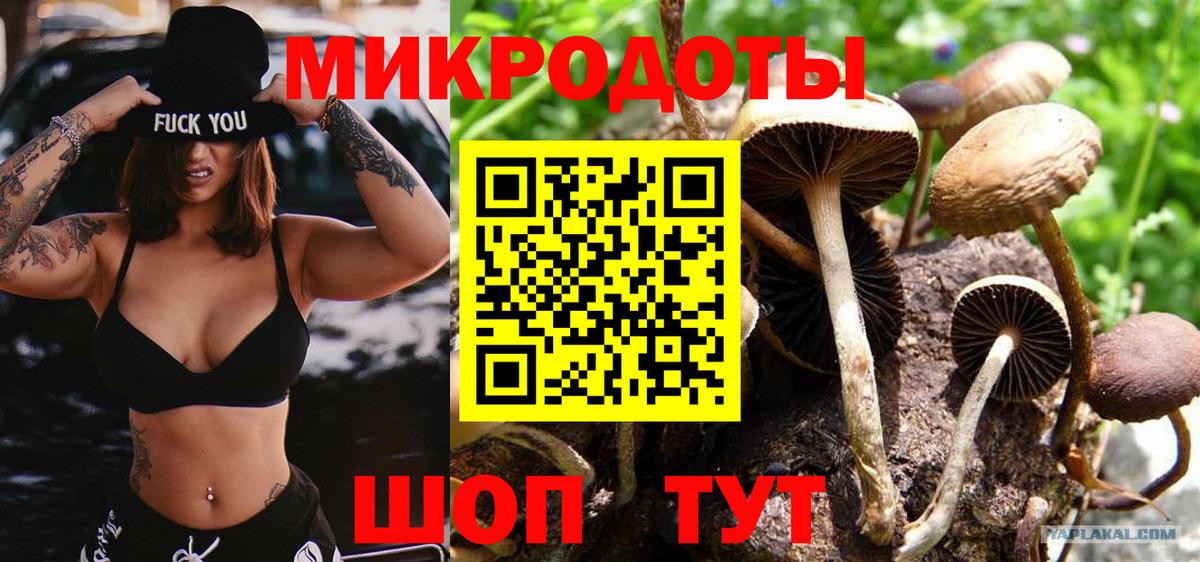 Псилоцибиновые грибы мухоморы Ирбит