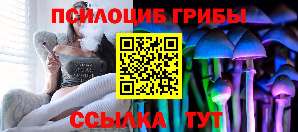 Ирбит  Псилоцибиновые грибы Cubensis  Вход с VPN 